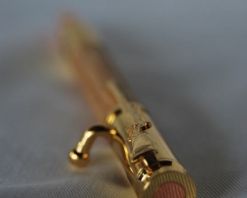 Gold Pen Bolt