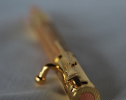 Gold Pen Bolt